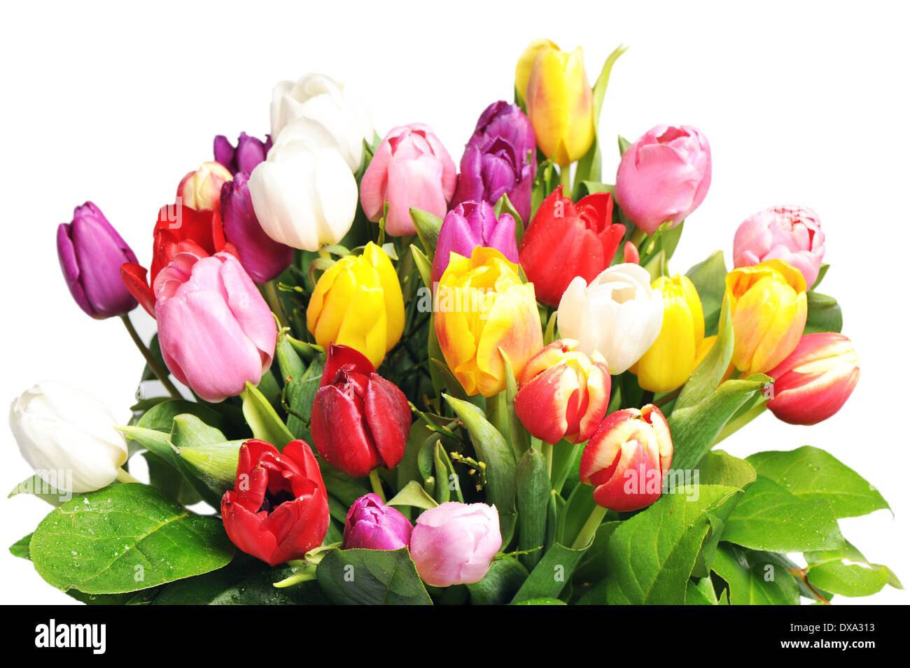 bouquet of colorful tulip flowers Stock Photo - Alamy