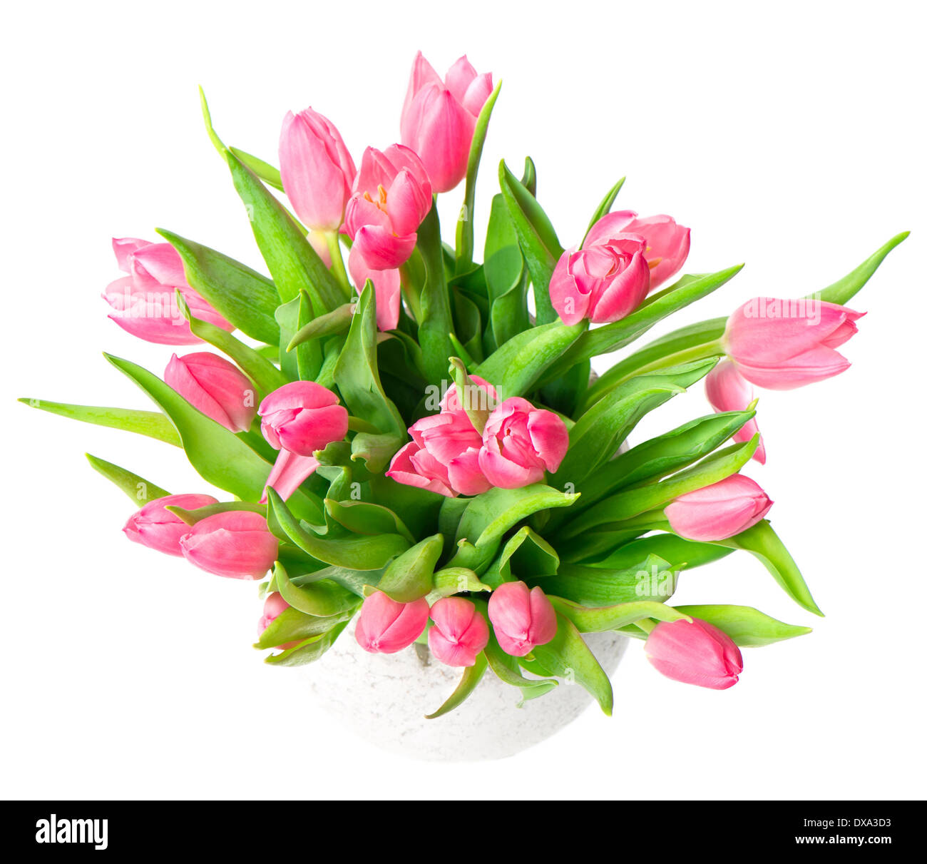 bouquet of beautiful spring tulip flowers on white background Stock ...