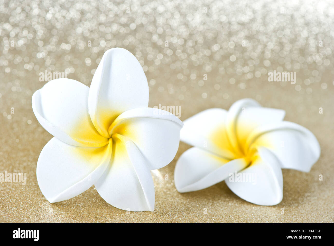 Shiny golden flowers hi-res stock photography and images - Alamy