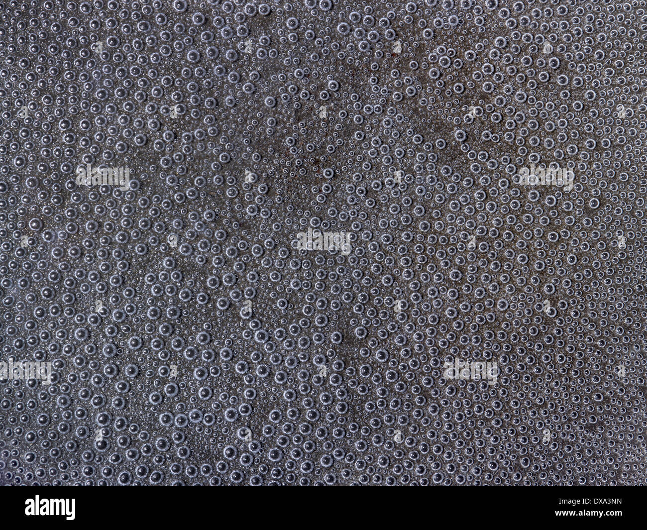 full frame abstract underwater background with lots of small air bubbles on grey ground Stock Photo
