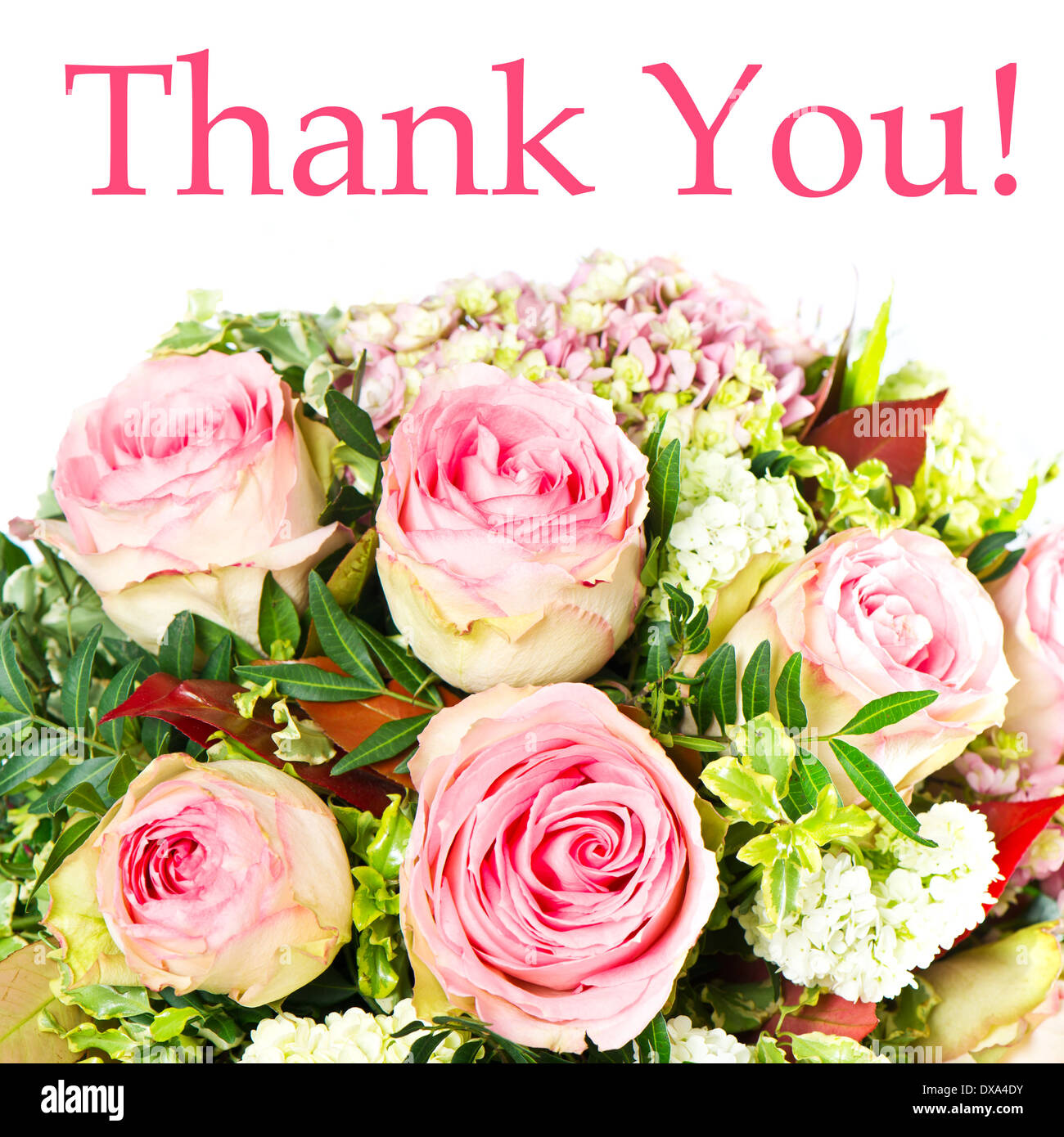 Thank You Card With Roses High Resolution Stock Photography and Images