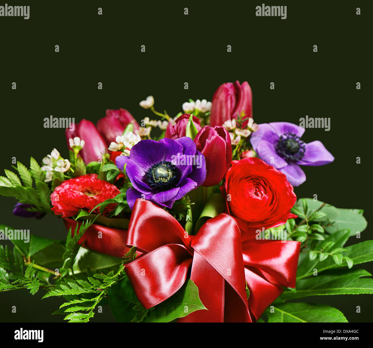 colorful spring flowers Stock Photo - Alamy