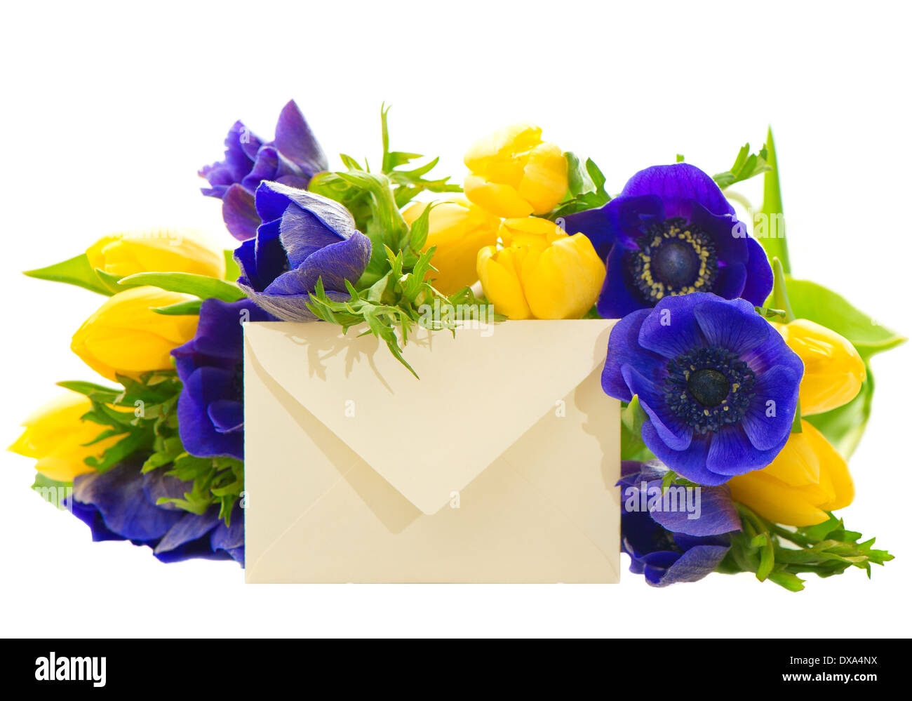 colorful flowers bouquet. yellow tulips and blue anemone Stock Photo