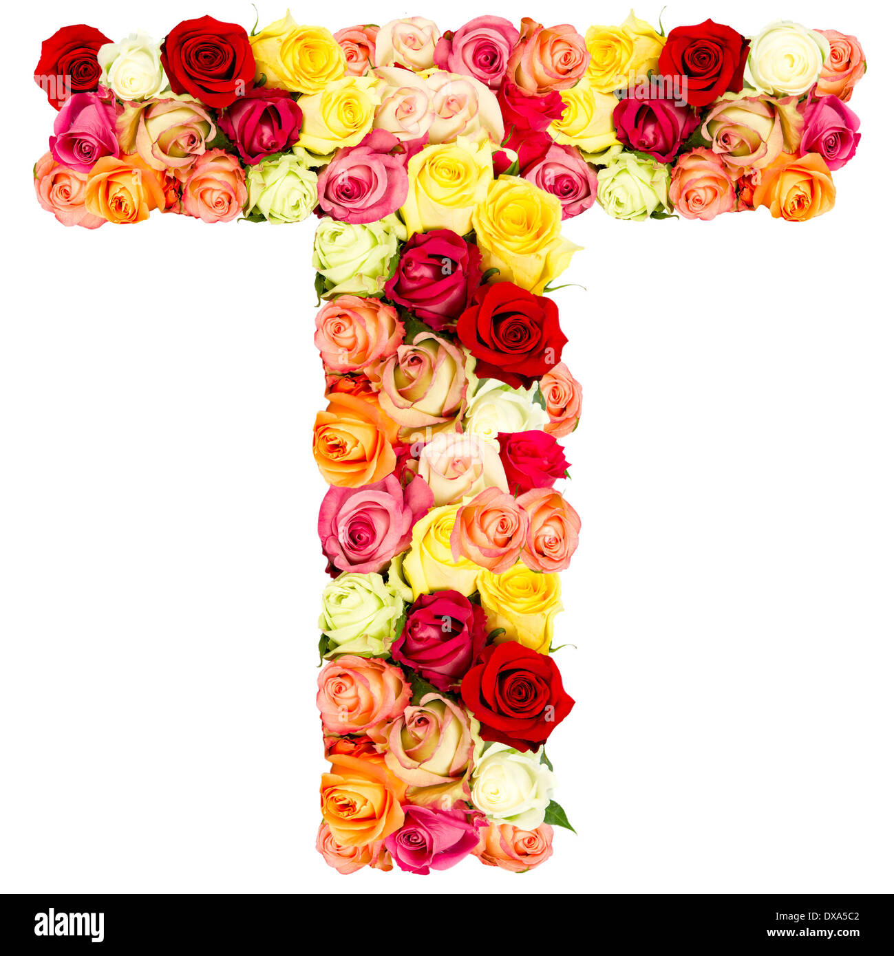 T, roses flower alphabet isolated on white Stock Photo