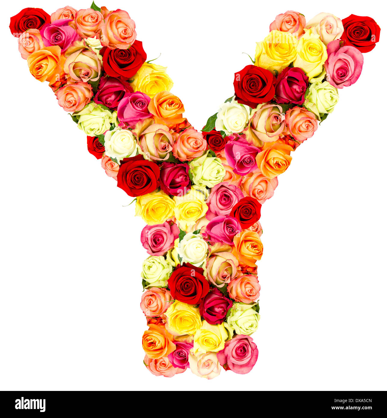 A Alphabet Flower Images  Floral Gold Alphabet Alphabet Wallpaper Floral Letters Flower Frame