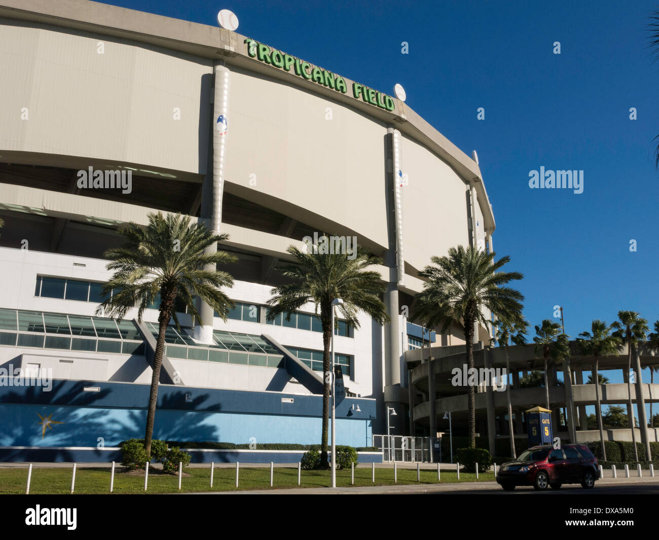 Tropicana field florida hi-res stock photography and images - Alamy