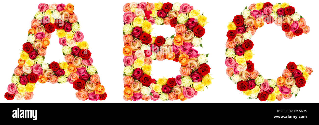 ABC, roses flower alphabet isolated on white Stock Photo - Alamy
