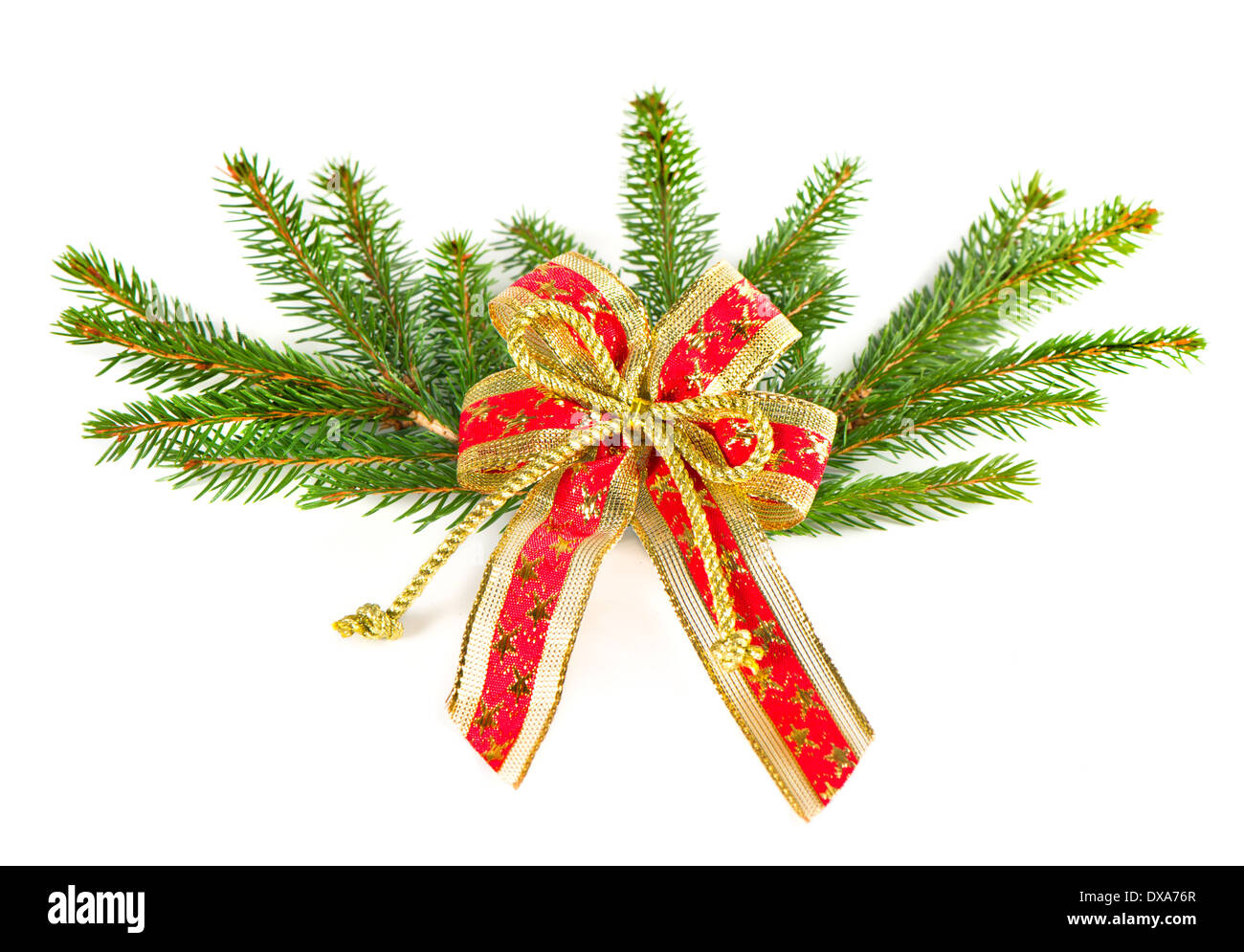 christmas tree branch with red ribbon. christmas decoration Stock Photo