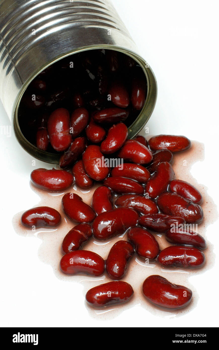Red Kidney Bean Stock Photo