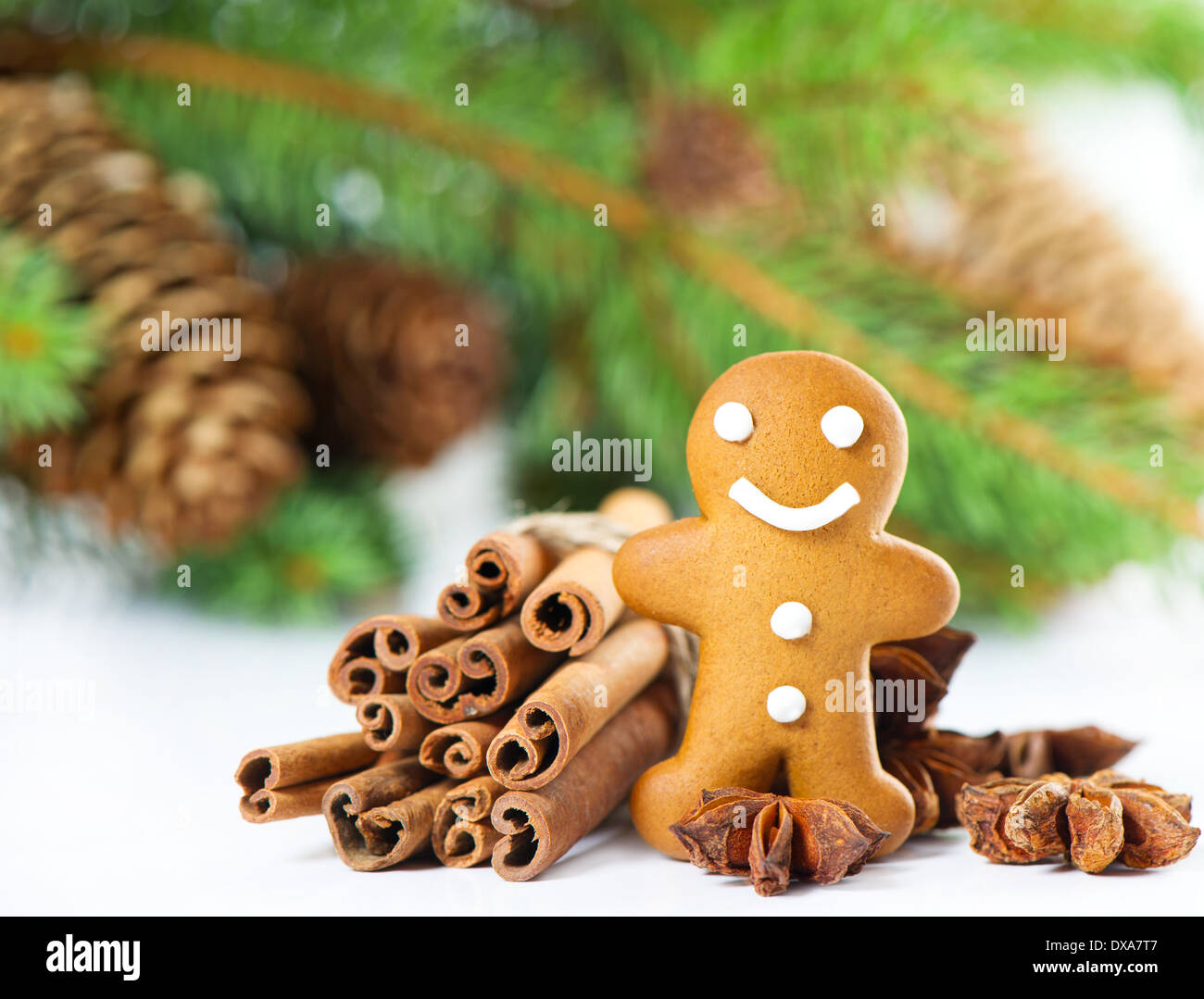 smiling gingerbread man with christmas spices. selective focus Stock Photo