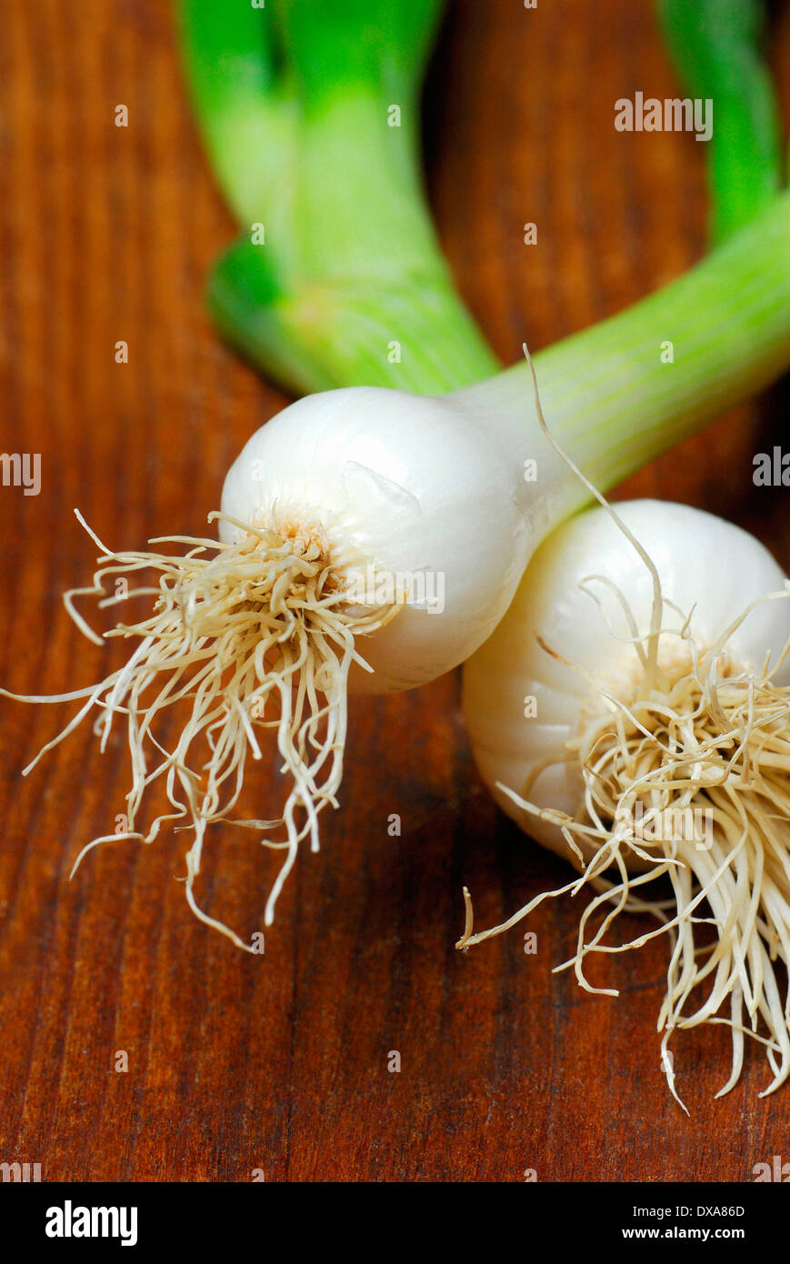 Vertical shot spring onions hi-res stock photography and images - Alamy