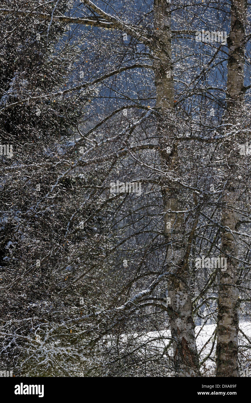 Winter seasonal landscape hi-res stock photography and images - Alamy