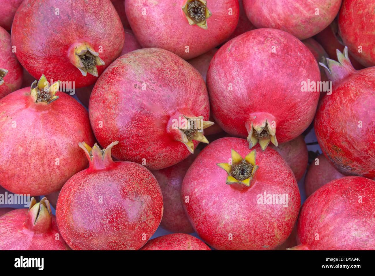 Harvested pomegranates 'Punica granatum'. Stock Photo