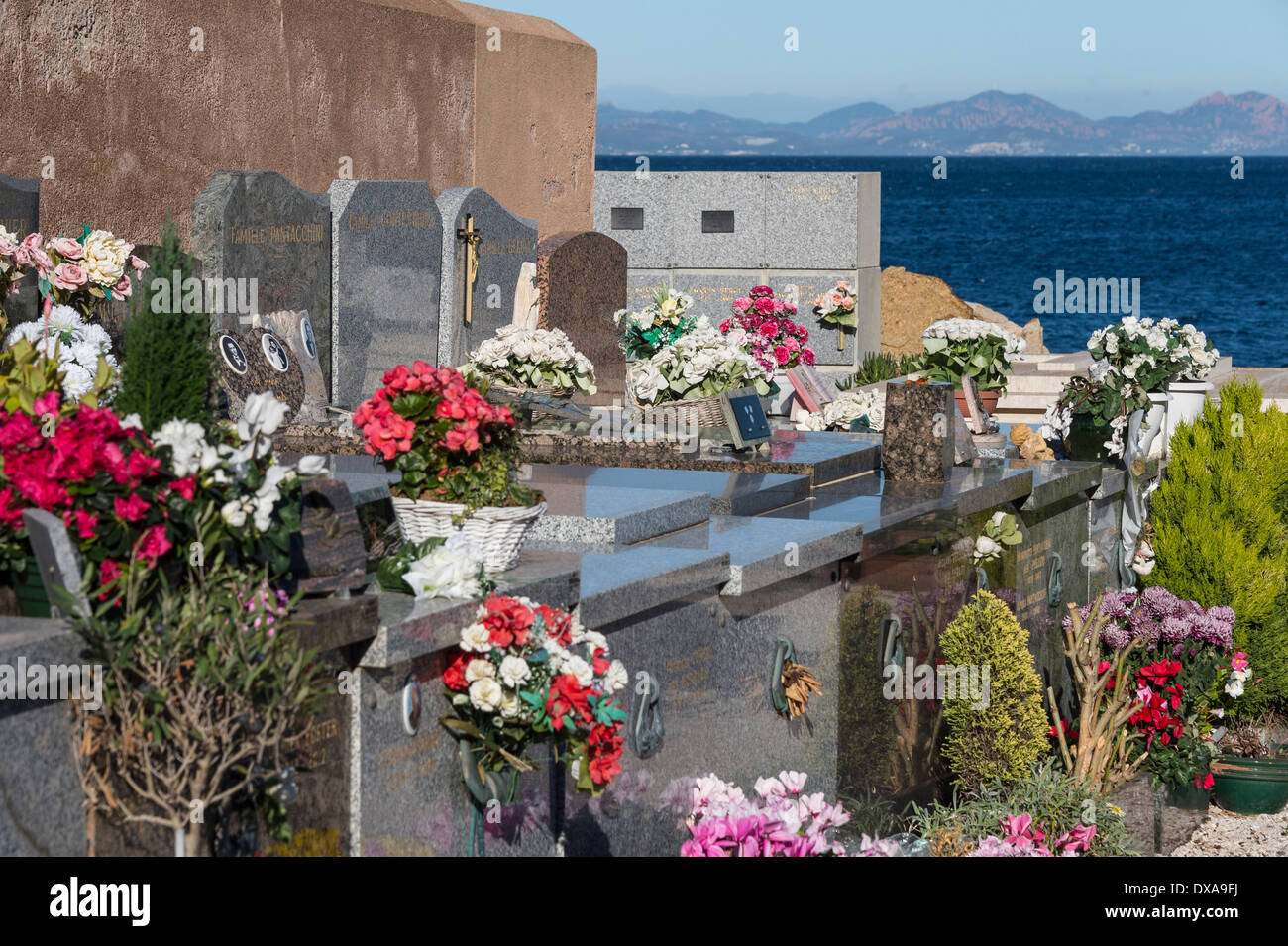 Cemetery with fresh flowers, St Tropez, France Stock Photo