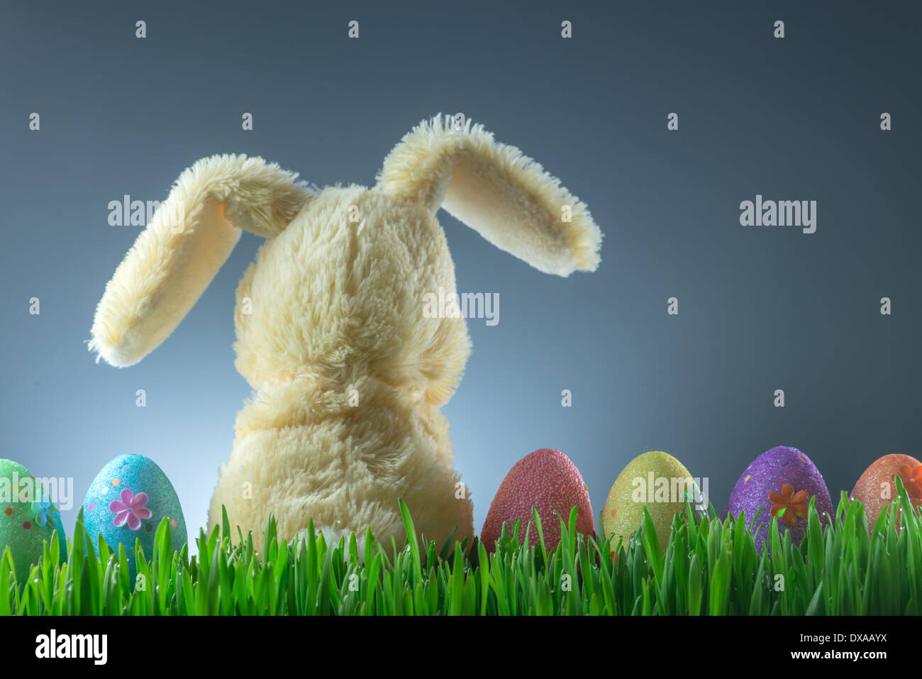 easter background with bunny and eggs Stock Photo - Alamy