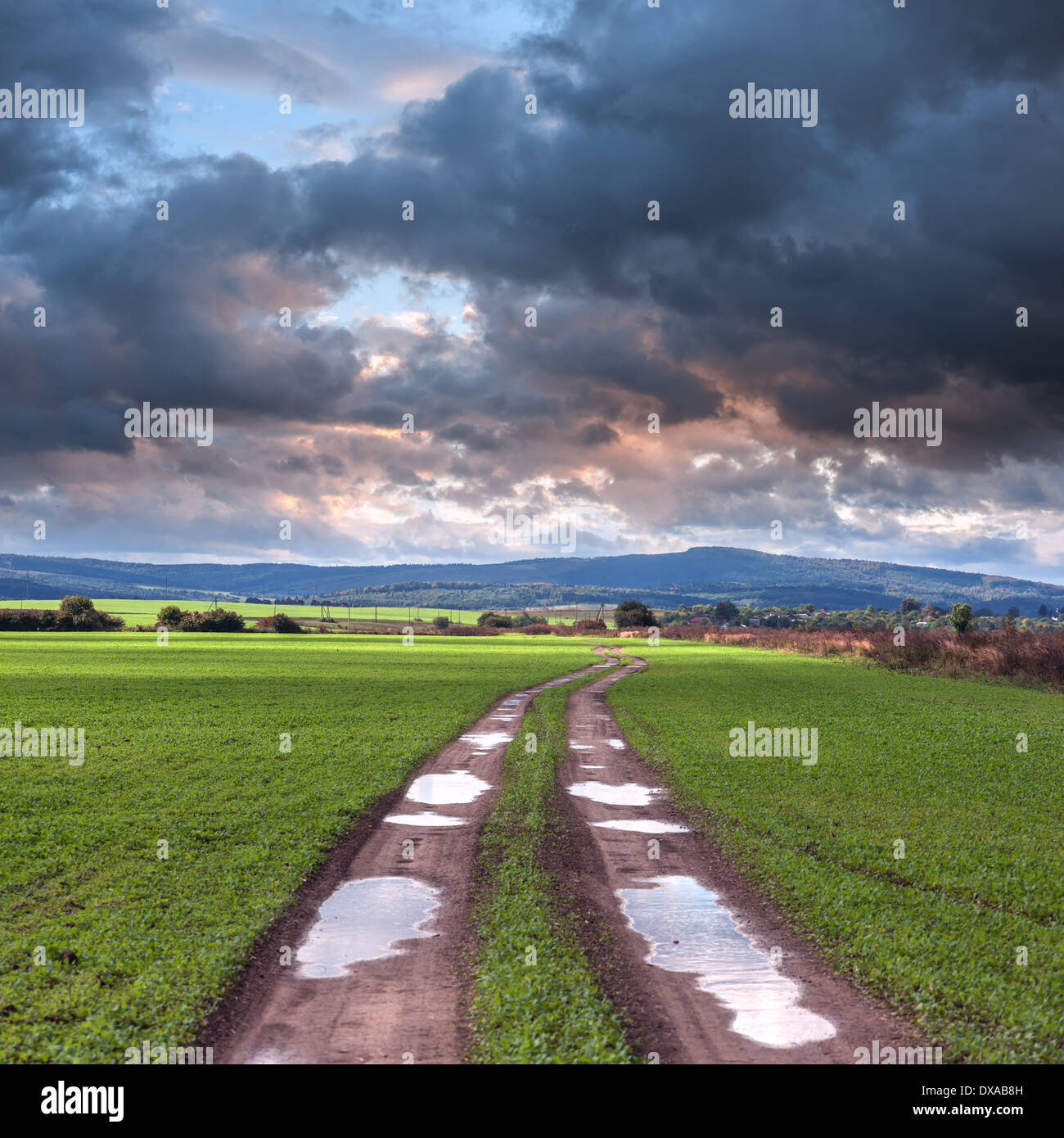 road, field and cloudy sky Stock Photo
