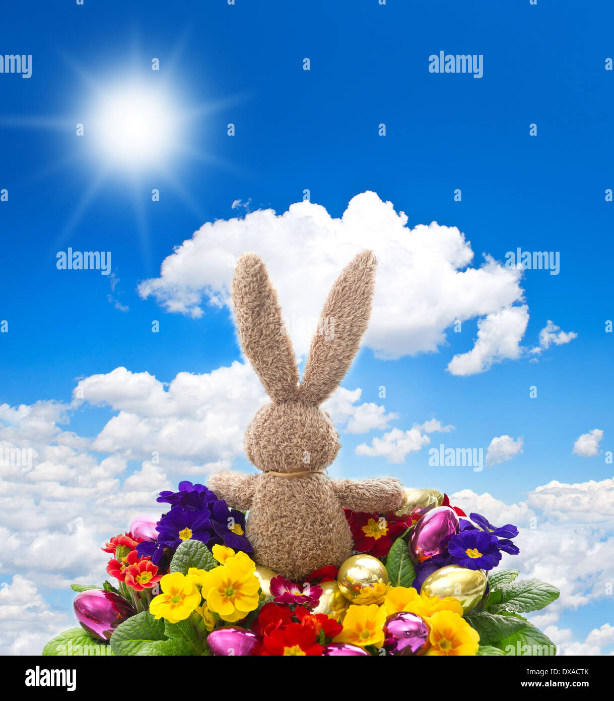 easter bunny with shiny eggs and colorful fresh spring primula flowers on sunny blue sky background Stock Photo