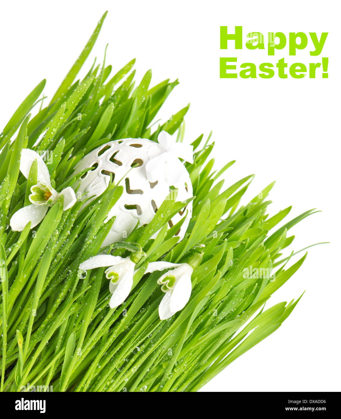 fresh green grass with flowers and easter egg on white background Stock ...