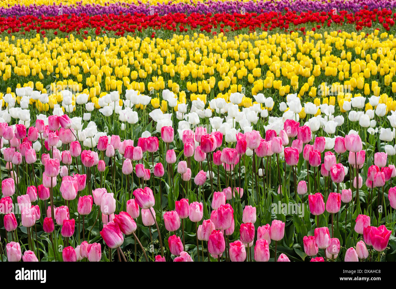 Woodburn farm hires stock photography and images Alamy