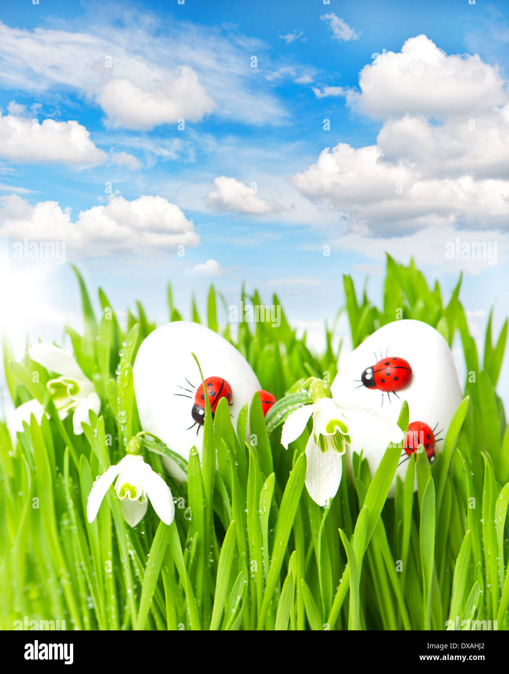 fresh green grass with easter eggs over spring sunny blue sky Stock ...