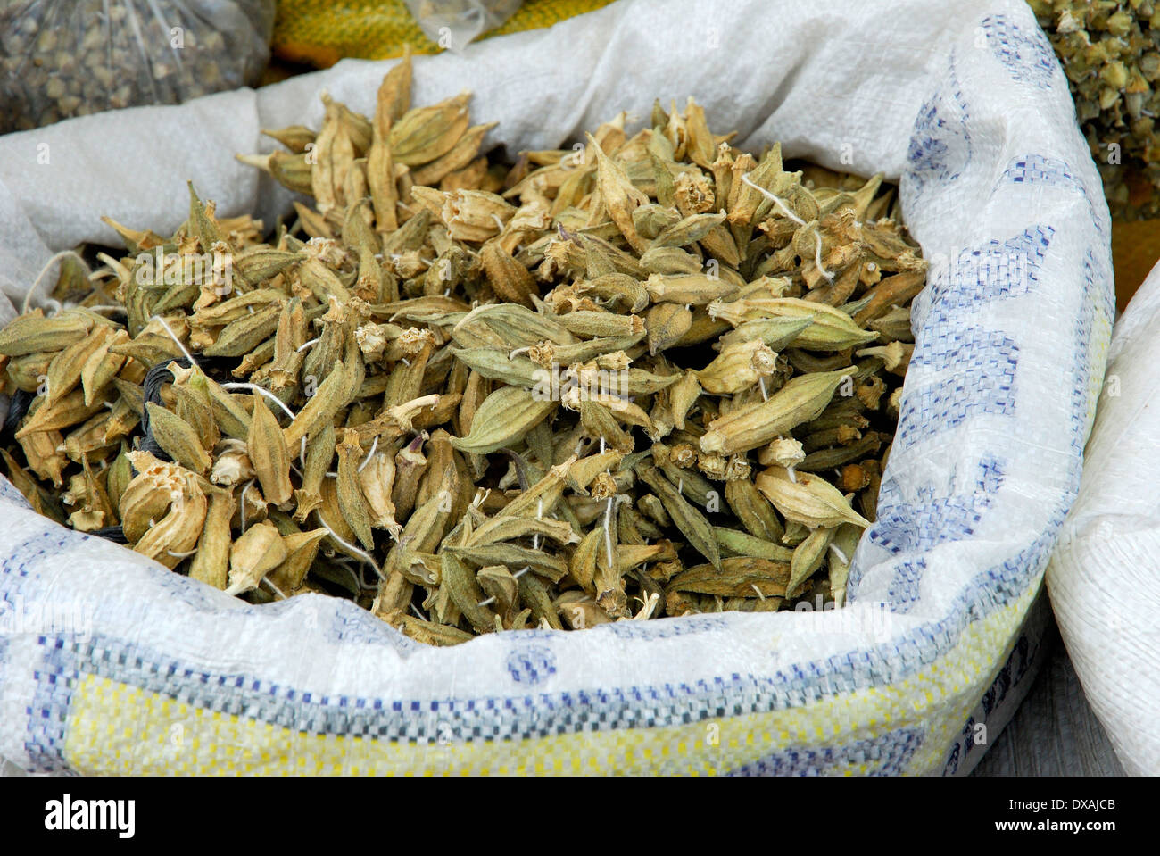 Okra Stock Photo