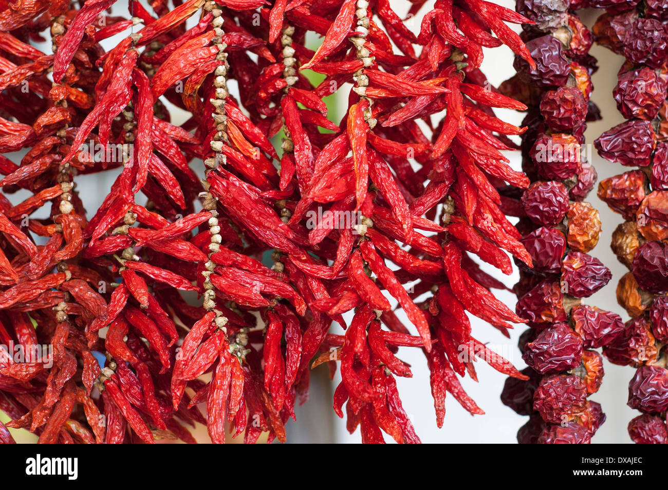Chilli pepper, Capsicum annuum, strings of chilies hung up to dry Stock  Photo - Alamy