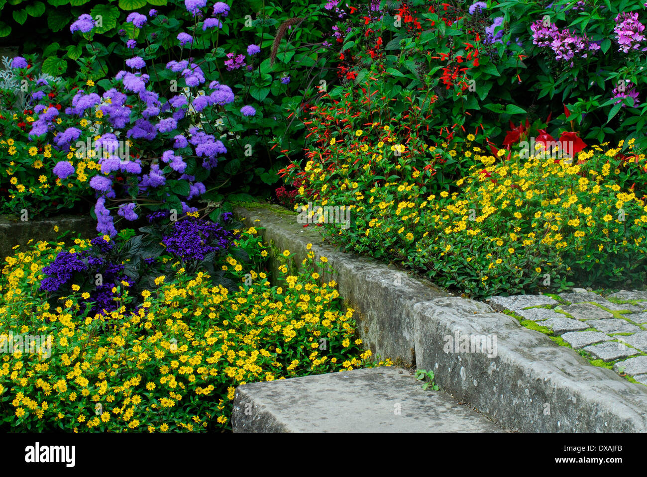 Bed flowers flower bed hi-res stock photography and images - Alamy