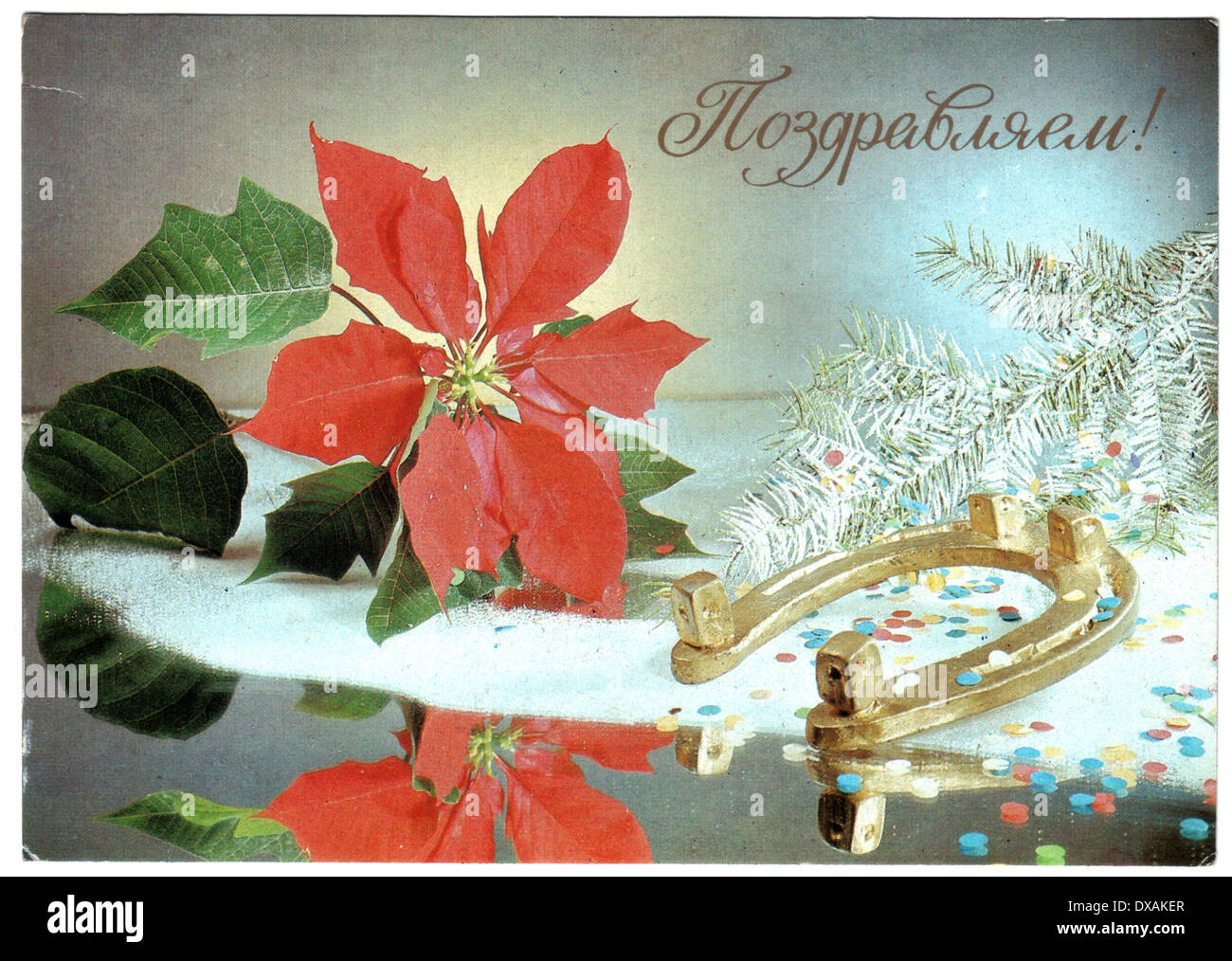 CIRCA 1989: Postcard printed in the USSR shows draw by Kindrova - flower and horseshoe, circa 1989. Russian text: Congratulation Stock Photo