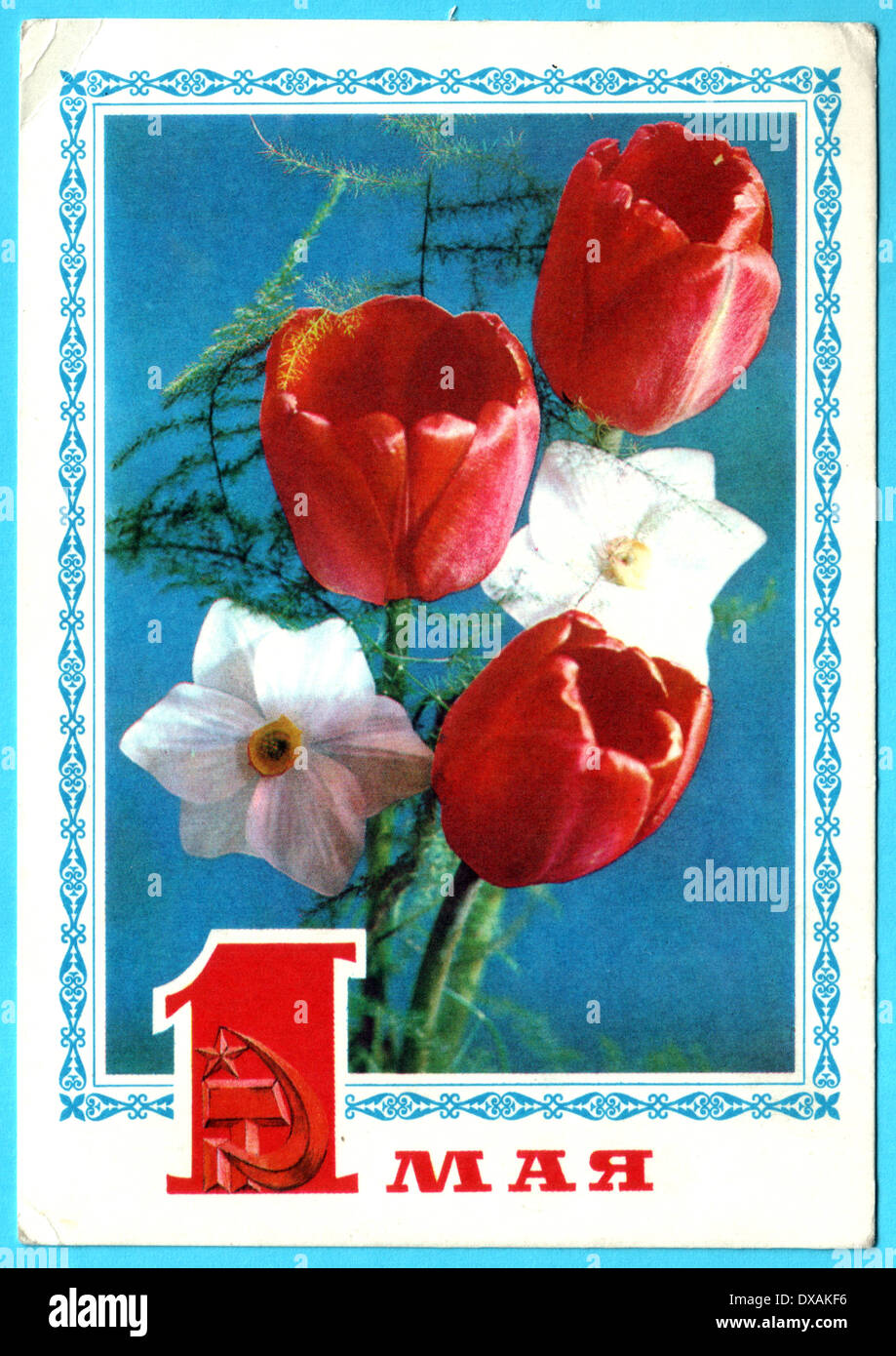 USSR - CIRCA 1977: Soviet postcard 'peonies and daffodils' Solidarity Day May 1', circa 1977, USSR Stock Photo