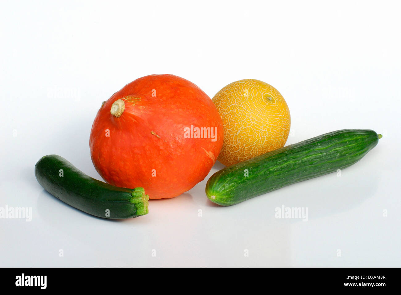 Courgette, Cucumber, Pumpkin and Melon Stock Photo Alamy