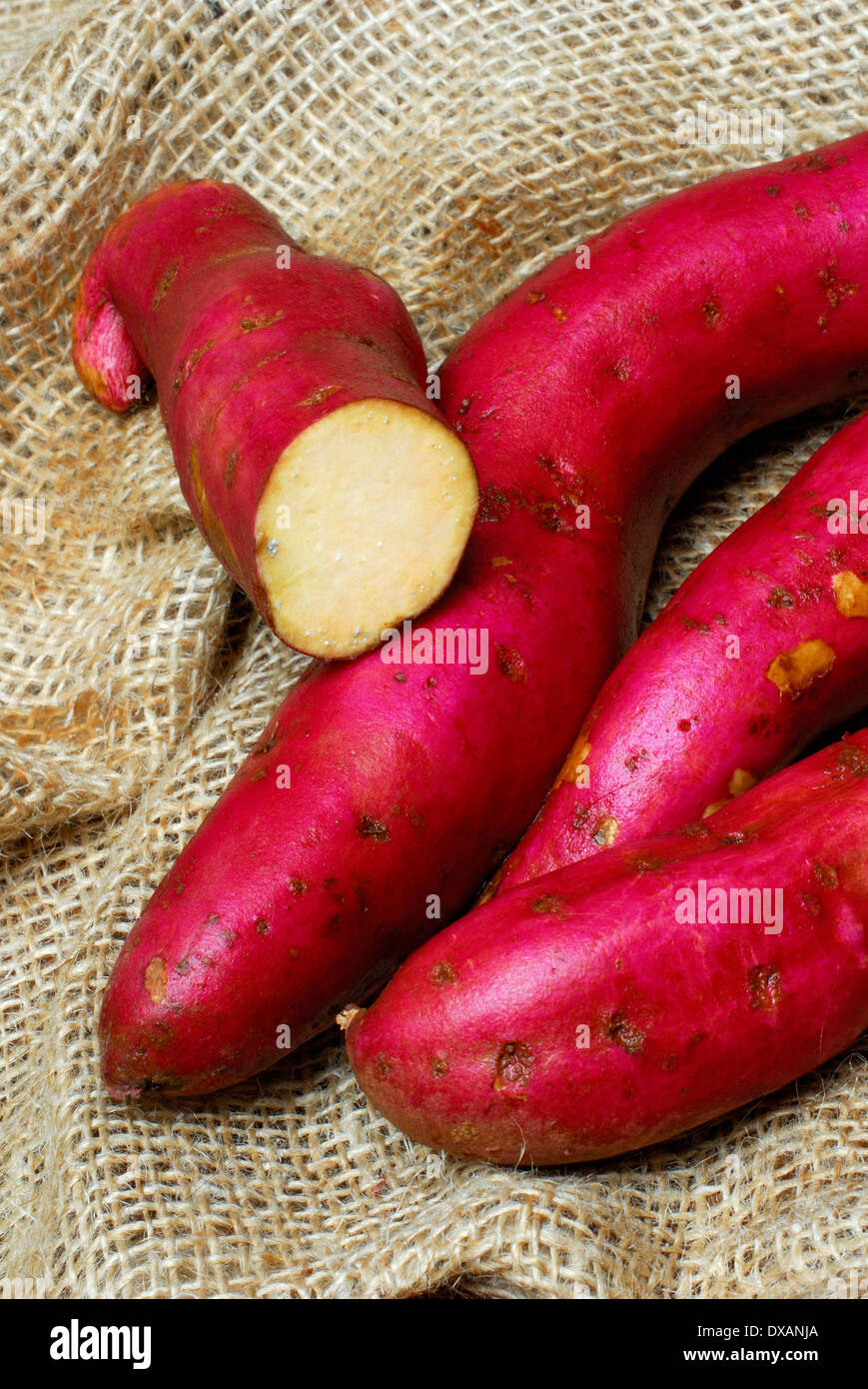 Yam hi-res stock photography and images - Alamy