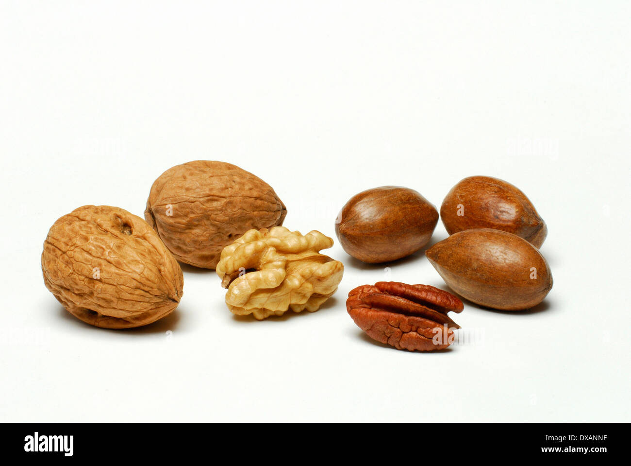 Walnut and Pecan Stock Photo Alamy
