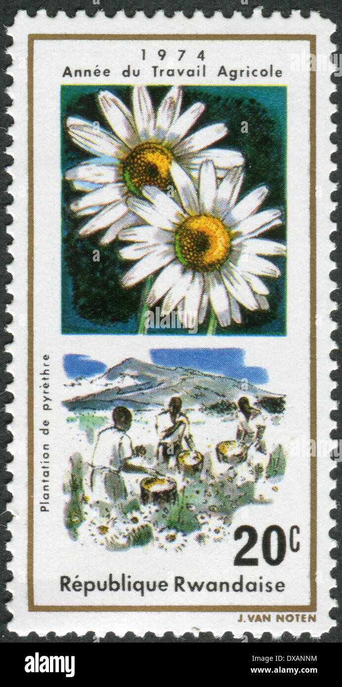 Postage stamp printed in Rwanda, dedicated Year of field work, depicts Flower (Pyrethrum) and harvest Stock Photo