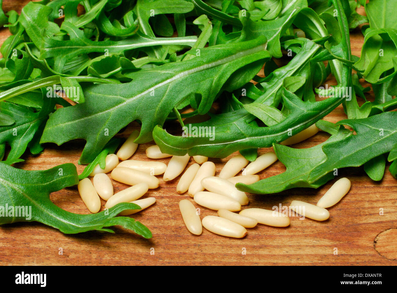 Arugula and Pine nuts Stock Photo