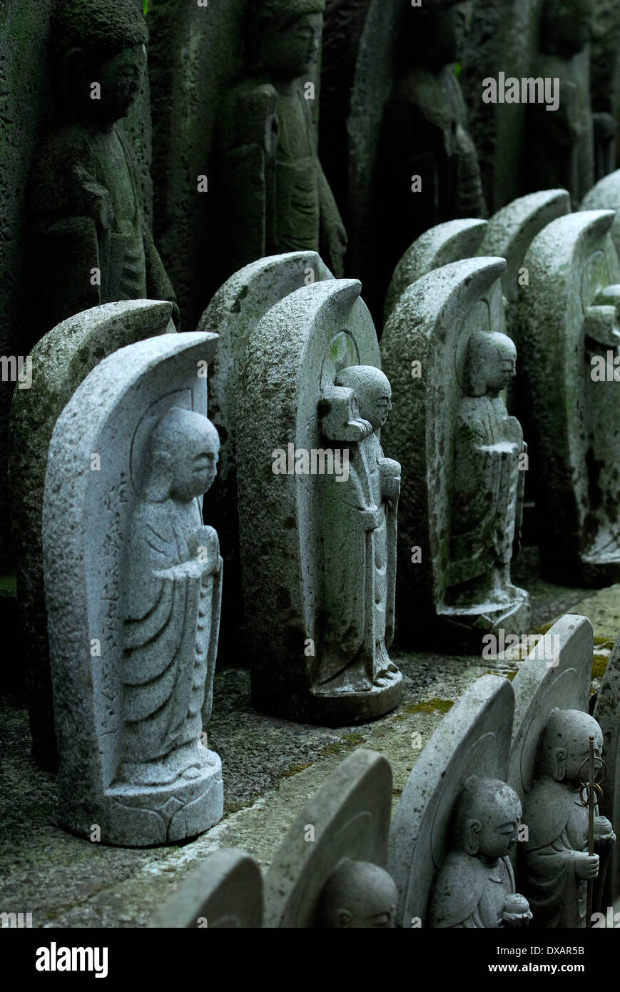 Jinzo hi-res stock photography and images - Alamy Jinzo hi-res stock photography and images - Alamy