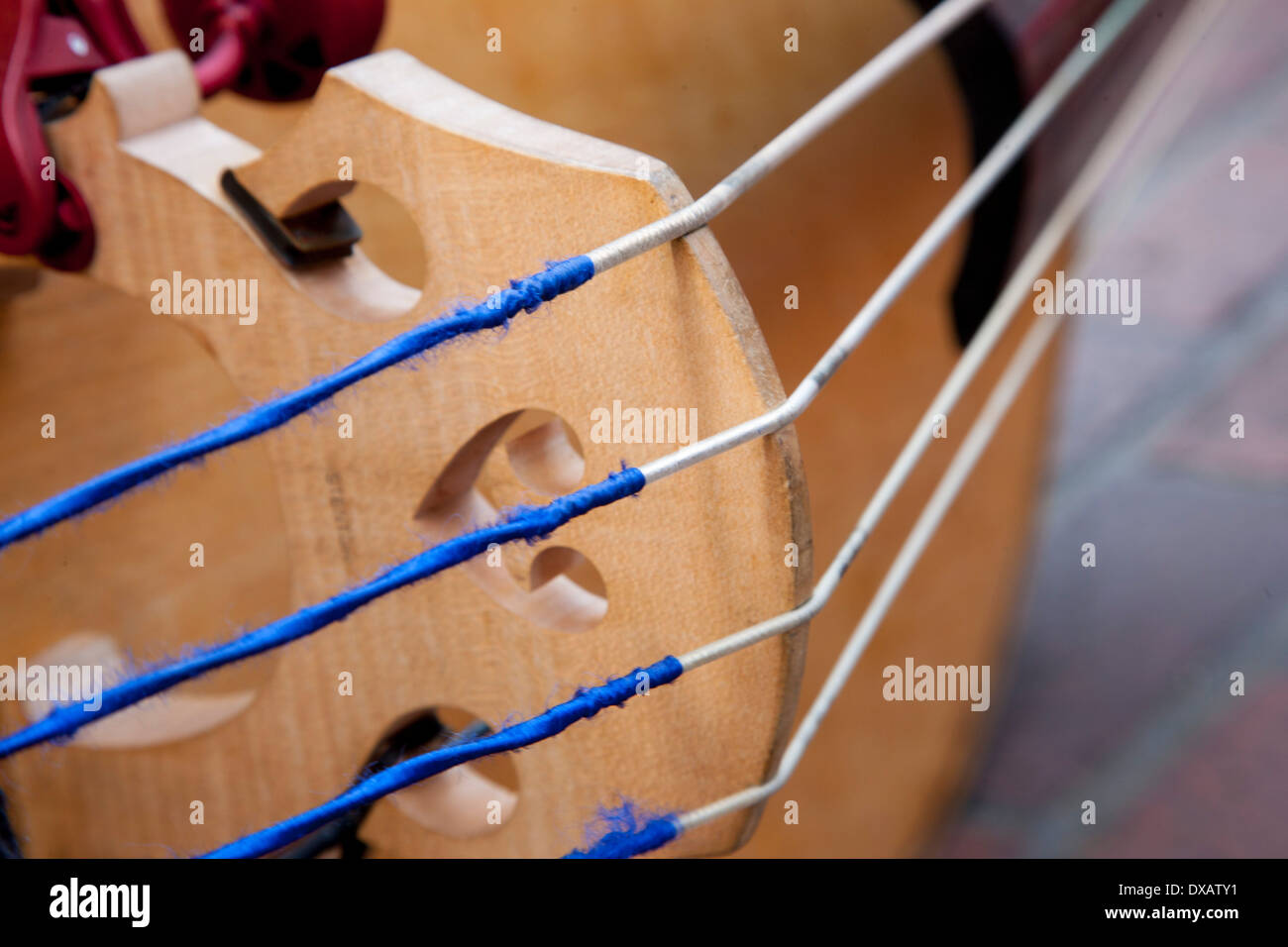 Close up of strings on double bass Stock Photo