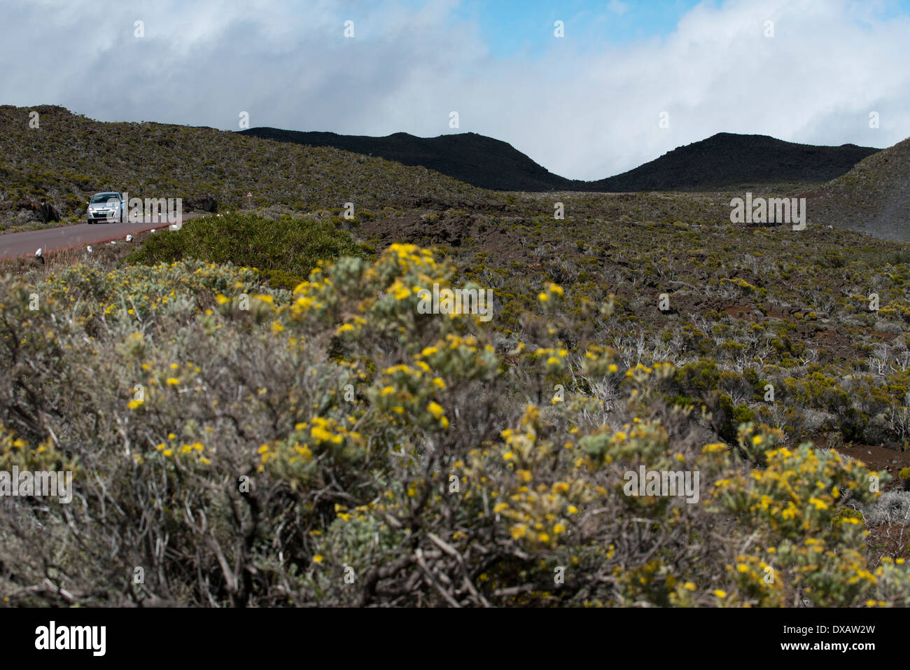 Road to the Piton de la Fournaise volcano. The volcano Piton de la
