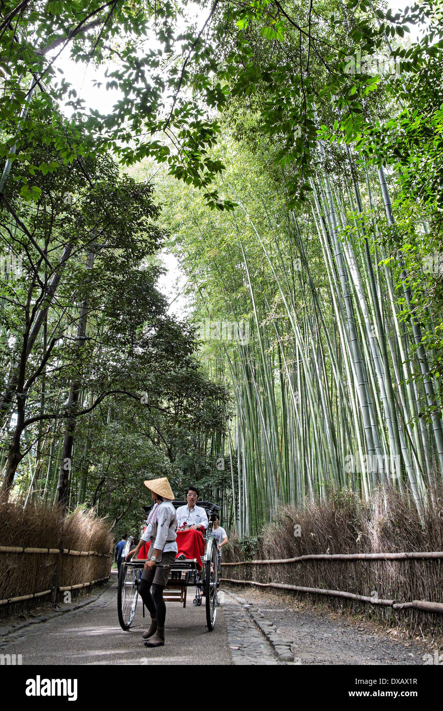 Rickshaw driver pulling a tourist in a rickshaw in a Bamboo Grove in ...