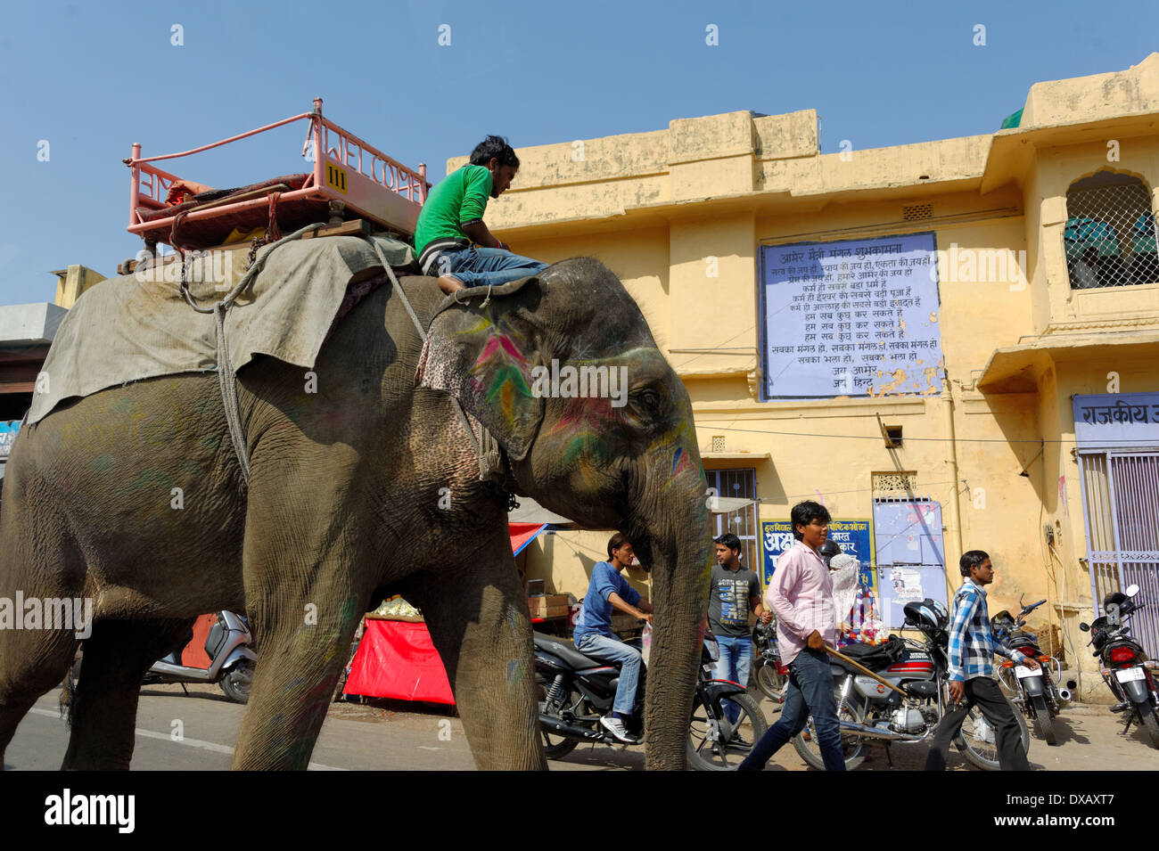 Elephants india city hi-res stock photography and images - Alamy