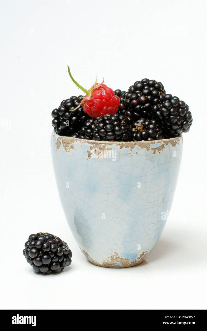Raspberry and Blackberry Stock Photo Alamy