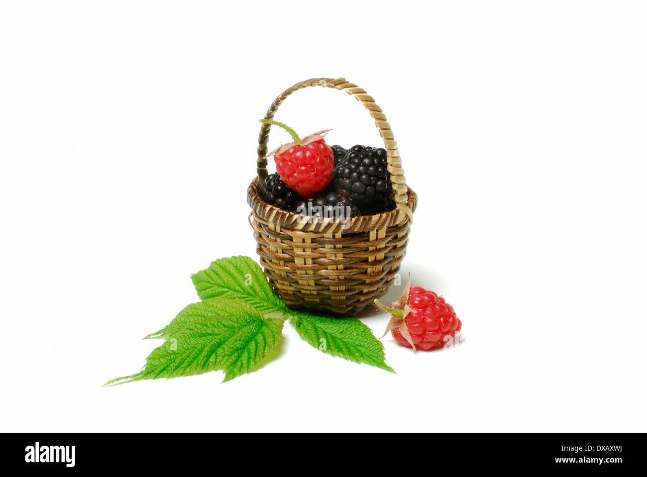 Raspberry and Blackberry Stock Photo Alamy