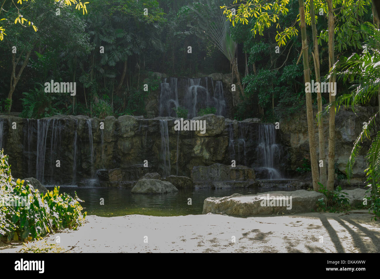 Thailand. Southeast Asia. Natural scenery. Exotic Flora and Fauna Stock ...