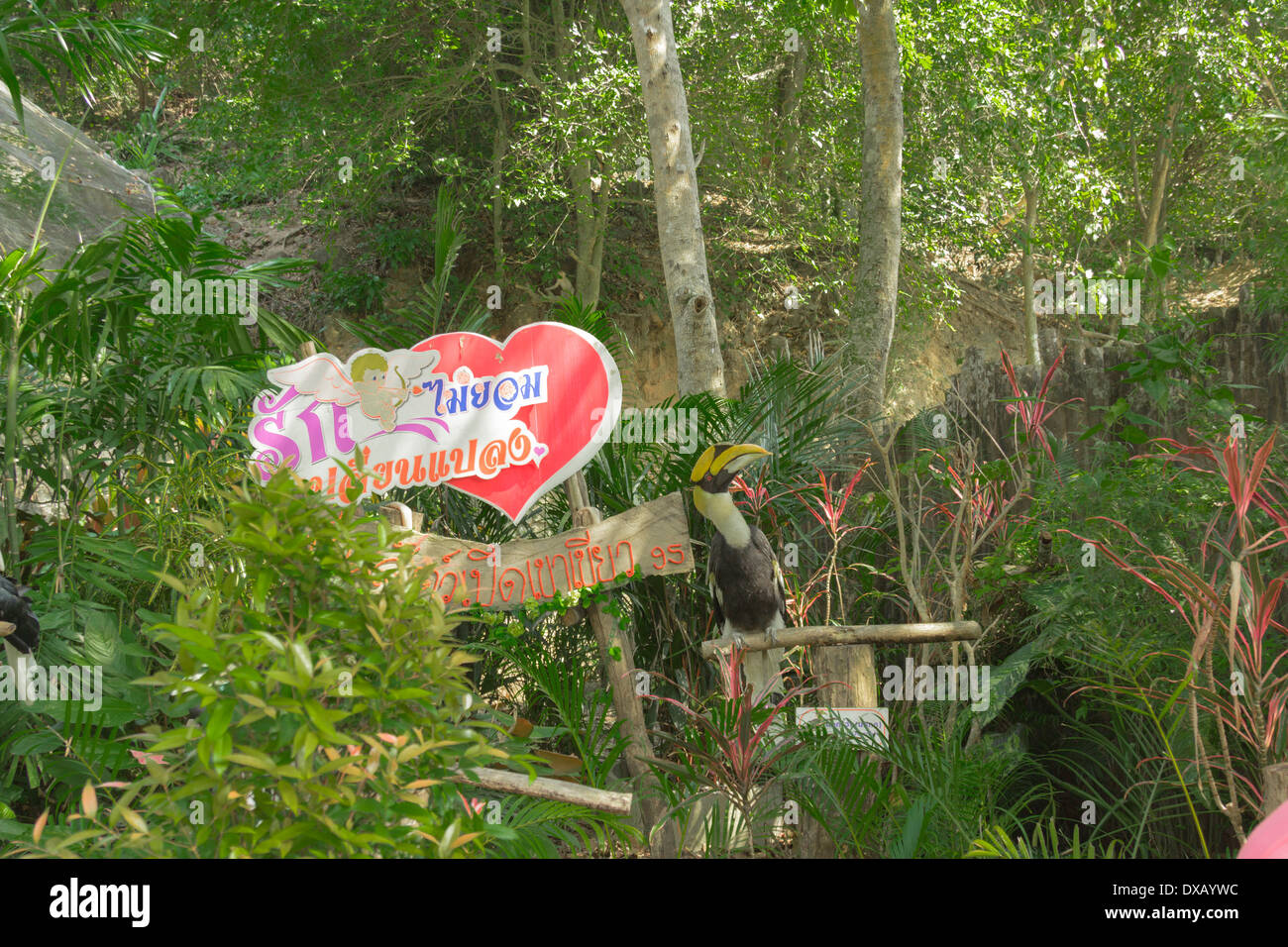 Thailand. Southeast Asia. Natural scenery. Exotic Flora and Fauna Stock ...