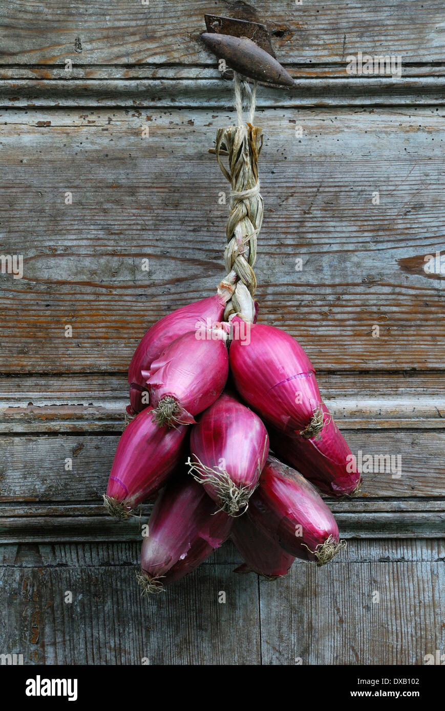 Onions door hi-res stock photography and images - Alamy