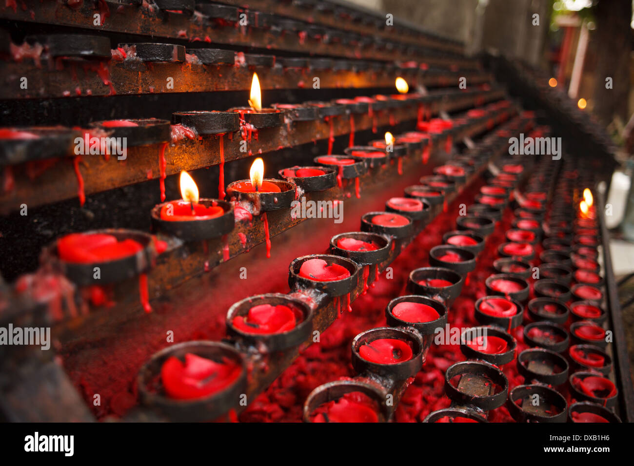 Red praying candles Stock Photo Alamy