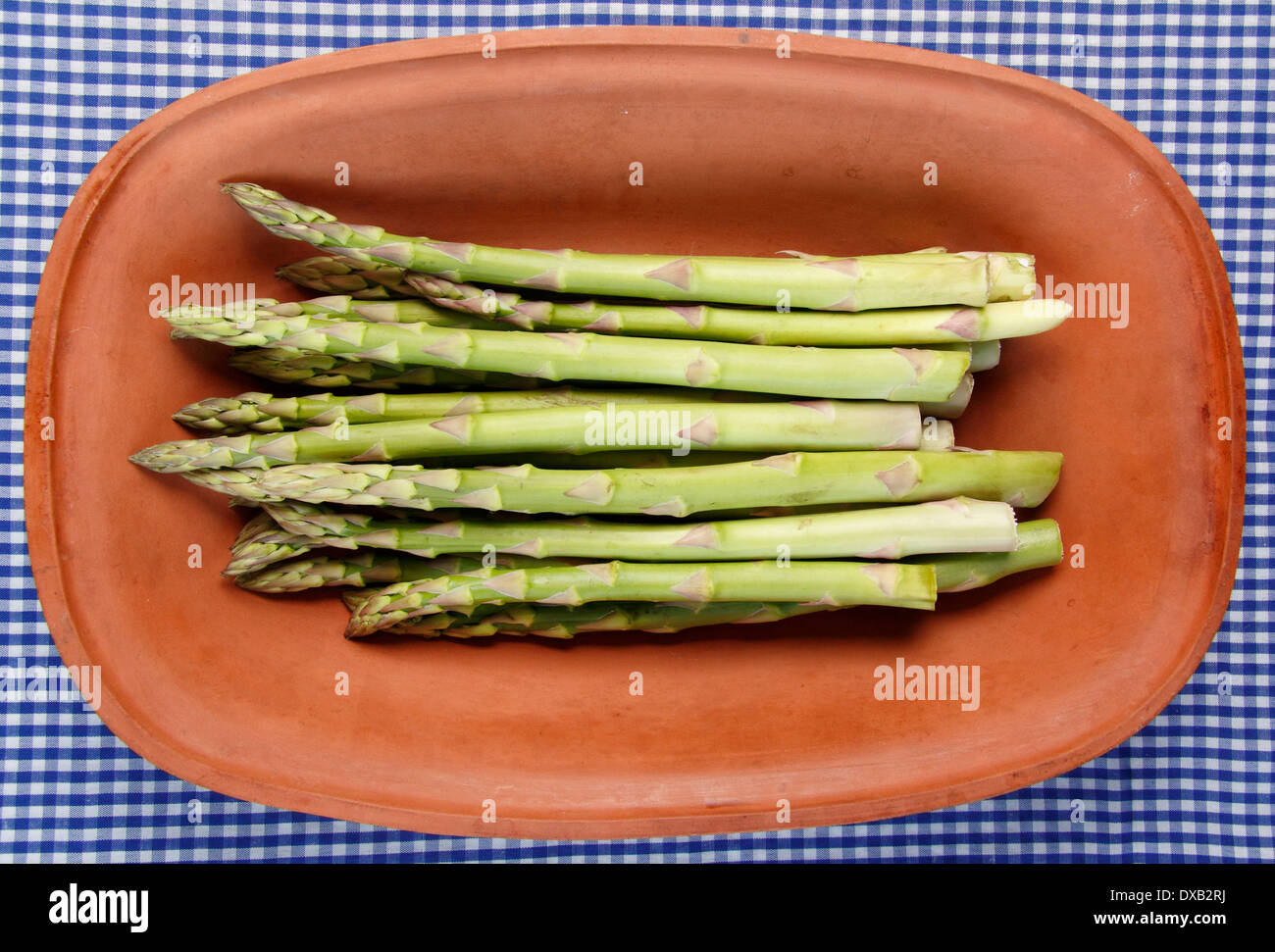 A loose bunch of fresh green asparagus spears in a  rustic terracotta clay dish against a vintage blue & white gingham cloth, UK Stock Photo