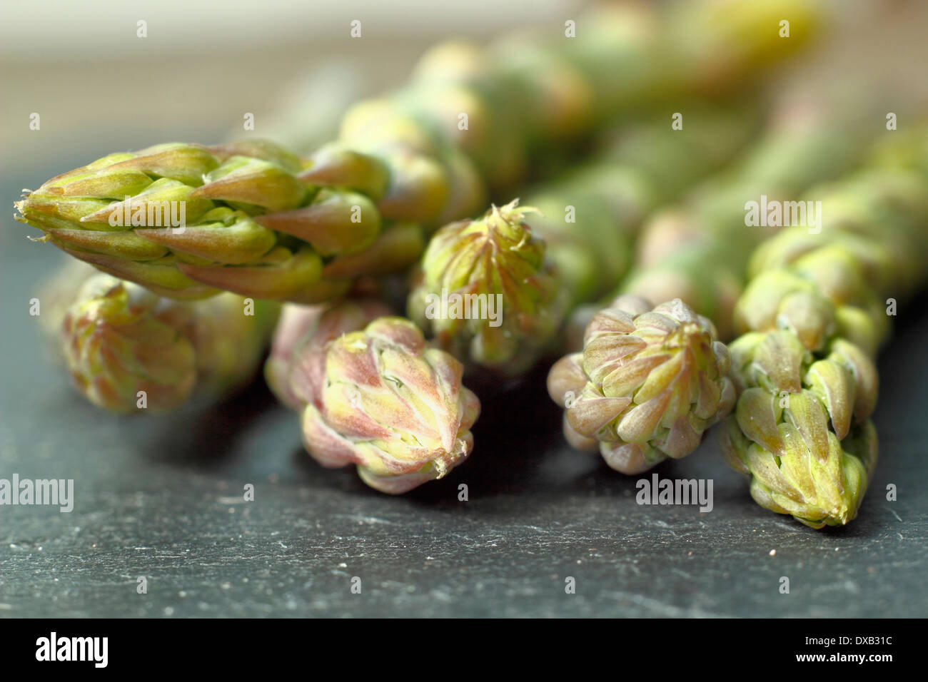 Fresh green asparagus stalks with focus on tips, on black slate against neutral background,, UK Stock Photo