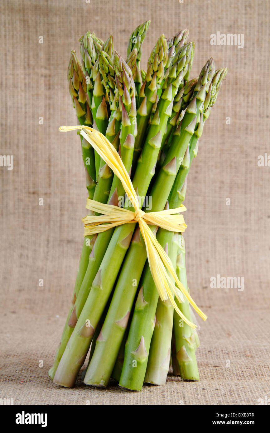 A bunch of fresh green asparagus spears tied with raffia stand on a rustic hessian background, UK Stock Photo