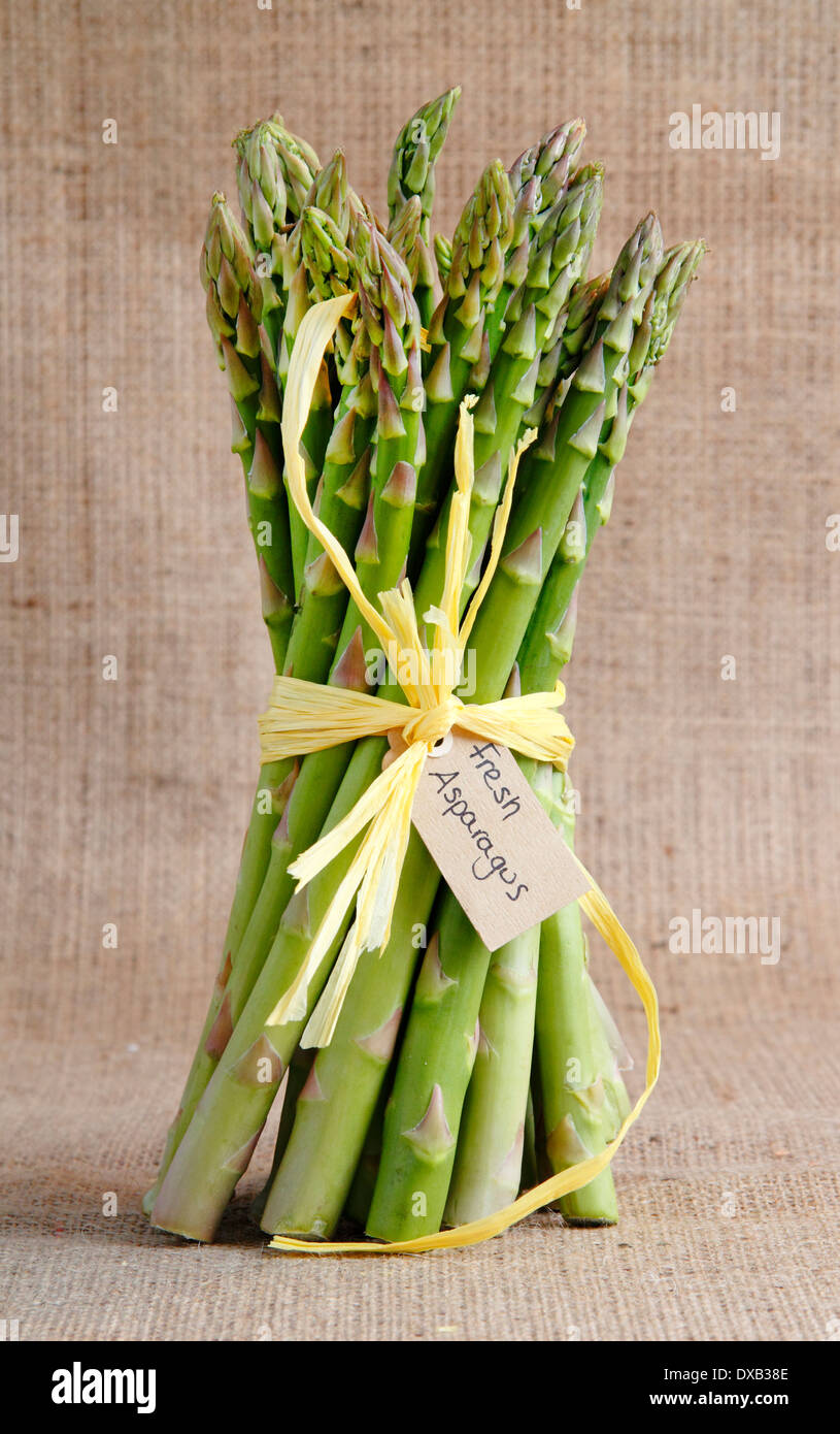 A bunch of fresh green asparagus spears tied with raffia stand on a rustic hessian background, UK Stock Photo