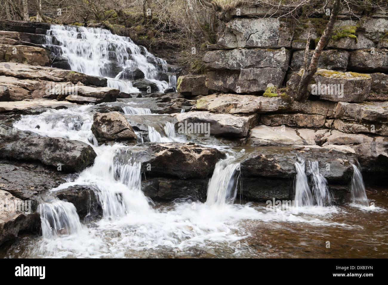 The lower waterfall of East Gill Force near Keld, Yorkshire Dales, UK Stock Photo